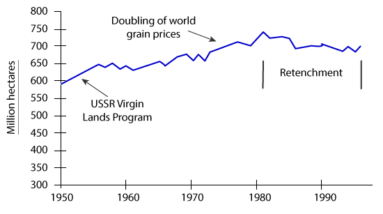 World Grain Harvested Area